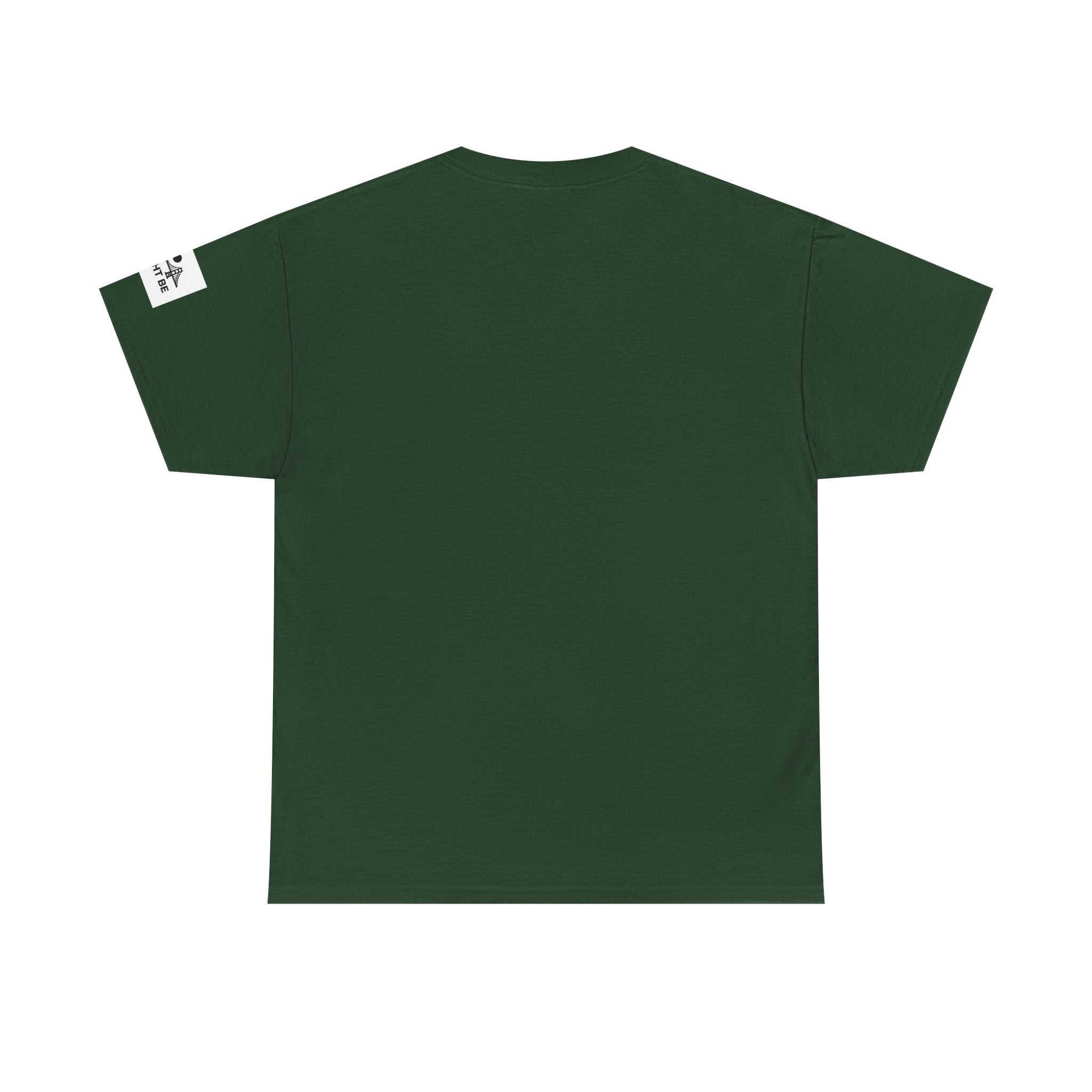 Unisex Heavy Cotton Tee Holdin & I Might Be