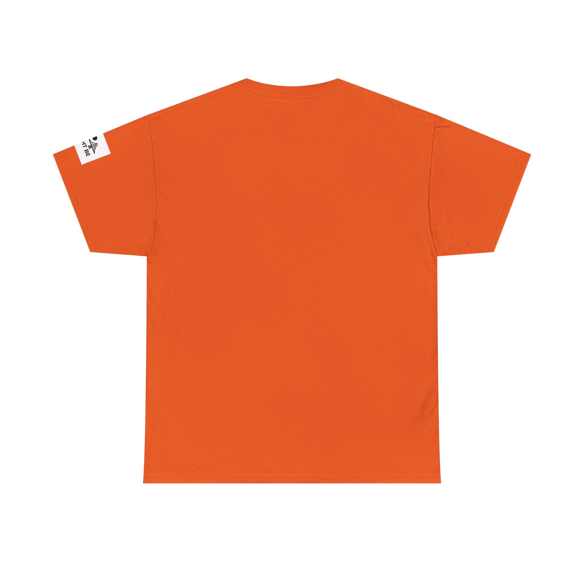 Unisex Heavy Cotton Tee Holdin & I Might Be